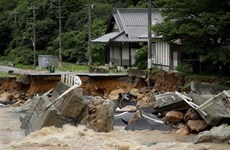 Vietnam envía condolencias a Japón por pérdidas humanas y materiales causadas por inundaciones