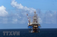 Corporación petrolera de Vietnam aporta  217 millones de dólares al presupuesto estatal 