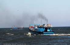 Vietnam participa en  acuerdo de la FAO para prevenir y eliminar la pesca ilegal