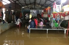 Ministro vietnamita pide medidas sincrónicas para enfrentar  desastres naturales