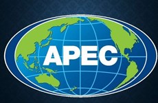 APEC 2019 se centra en economía digital y empoderamiento económico de la mujer  