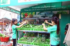 Vietnam comparte experiencias sobre agricultura verde en foro de ECOSOC