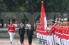 Asociación estratégica Vietnam e Indonesia avanza en diversos sectores  