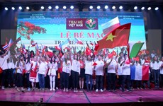 Campamento de verano conecta a vietnamitas residentes en el extranjero con su tierra natal  