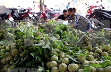 Vietnam y China robustecen comercio de productos agroacuícolas