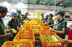 Nueva política de Corea del Sur dificulta a productos agrícolas vietnamitas
