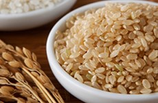Compañía privada vietnamita gana subasta para exportar arroz integral a Corea del Sur 