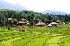 Turismo comunitario beneficia a distrito montañoso en provincia vietnamita de Thanh Hoa    