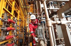 Grupo de petróleo de Vietnam sobrecumple metas en primer semestre
