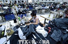 Vietnam y la India promueven cooperación en rama textil