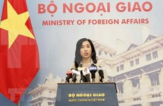 Vietnam saluda Cumbre Rusia-Estados Unidos, afirma su portavoz