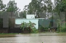 Vietnam lanza programa a favor de familias afectadas por inundaciones