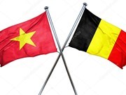 Celebran programa de intercambio de amistad por aniversario de nexos Vietnam-Bélgica 