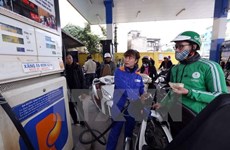 Vietnam dirige a la meta de explotar cuatro millones de toneladas de petróleo 