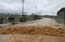 Vietnam se centra en superar consecuencias del tifón Son Tinh