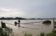 Incrementan asistencia a provincias vietnamitas afectadas por inundaciones 