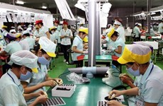 Provincia vietnamita aprueba proyecto de producción eléctrica a partir de residuos