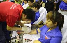 Jóvenes voluntarios de Vietnam y de otros siete países participarán en campamento de la Cruz Roja