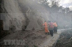 Indonesia: Isla de Lombok sufre otro temblor de magnitud 3,3 grados