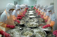 EE.UU. aplicará vigilancia a exportaciones vietnamitas de camarón y oreja de mar 