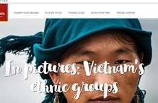Turismo en línea, mina de oro sin explotar en Vietnam 