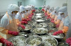  Vietnam enfrenta barreras técnicas en exportaciones de camarones a Corea del Sur
