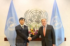 Resaltan desempeño de Vietnam en foros de las Naciones Unidas