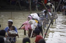 Myanmar y Bangladesh acuerdan repatriar a refugiados 