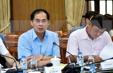 Actividades diplomáticas contribuyen a elevar posición de Vietnam en arena internacional, dice vicecanciller