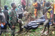 Un niño sobreviviente en accidente de avioneta en Indonesia 