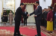 Presidente indonesio desea fortalecer cooperación multifacética con Vietnam 