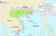 Regiones de Vietnam se preparan ante proximidad de la tormenta Bebinca