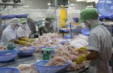 Aparece información desfavorable contra pescado Tra de Vietnam en mercado europeo 