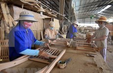 Productos madereros representarán la mitad de las exportaciones de provincia vietnamita de Quang Tri 
