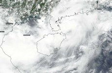   Provincia vietnamita de Quang Ninh se prepara ante la amenaza del tifón Bebinca 