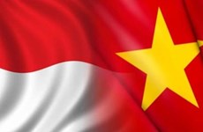 Conmemoran en Ciudad Ho Chi Minh Día de Independencia de Indonesia