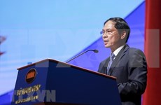 Resaltan logros de XXX Conferencia de Diplomacia de Vietnam
