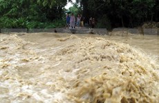 Vietnam sufrirá de dos a tres tifones en el resto de 2018, según pronósticos