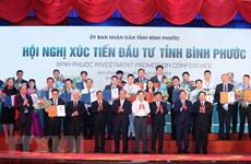 Provincia Binh Phuoc debe duplicar número de empresas, indica premier de Vietnam  
