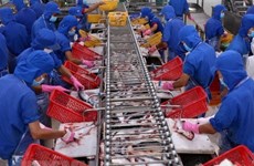 Crecen exportaciones de pescado  Tra vietnamita a EE.UU. 