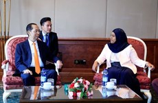 Presidente de Vietnam propone aumentar cooperación parlamentaria con Etiopía