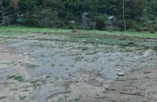 Inundaciones dejan cuatro muertos en provincia vietnamita de Son La