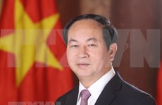 Próxima visita de presidente Dai Quang evidencia que Vietnam prioriza lazos con Egipto