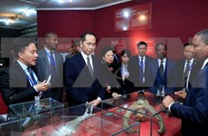 Presidente de Vietnam concluye visita estatal a Etiopía 