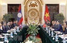 Vietnam y Laos efectúan tercera consulta política 