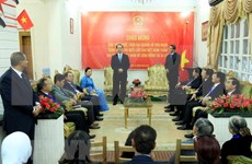 Presidente de Vietnam visita Embajada de su país  en El Cairo