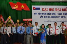 Asociación de Amistad Vietnam-Cuba contribuye a fomentar las relaciones bilaterales