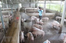 Publican sistema de información de salud animal de Vietnam
