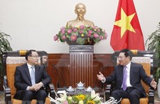 Vietnam concede importancia a la cooperación con localidades chinas, afirma vicepremier
