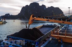 Grupo de Carbón de Vietnam espera vender 41 millones de toneladas en 2019 